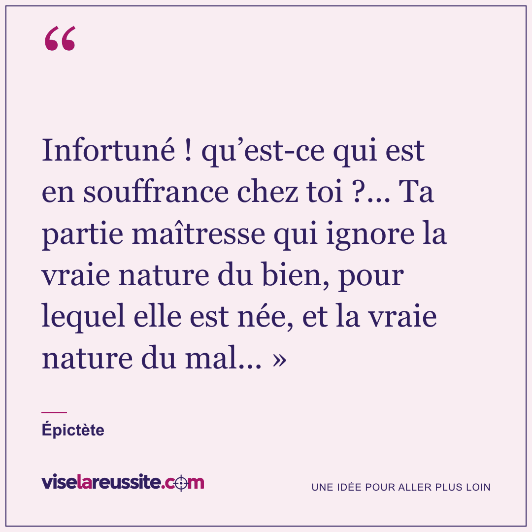 « Infortuné ! qu’est-ce qui est en souffrance chez toi ?... Ta partie maîtresse qui ignore la vraie nature du bien, pour lequel elle est née, et la vraie nature du mal... » » — Épictète — Vise la Réussite