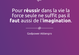 Pour réussir dans la vie la force seule ne suffit pas il faut aussi de l'imagination pour réussir dans la vie la force seule ne suffit pas il faut aussi de l'imagination